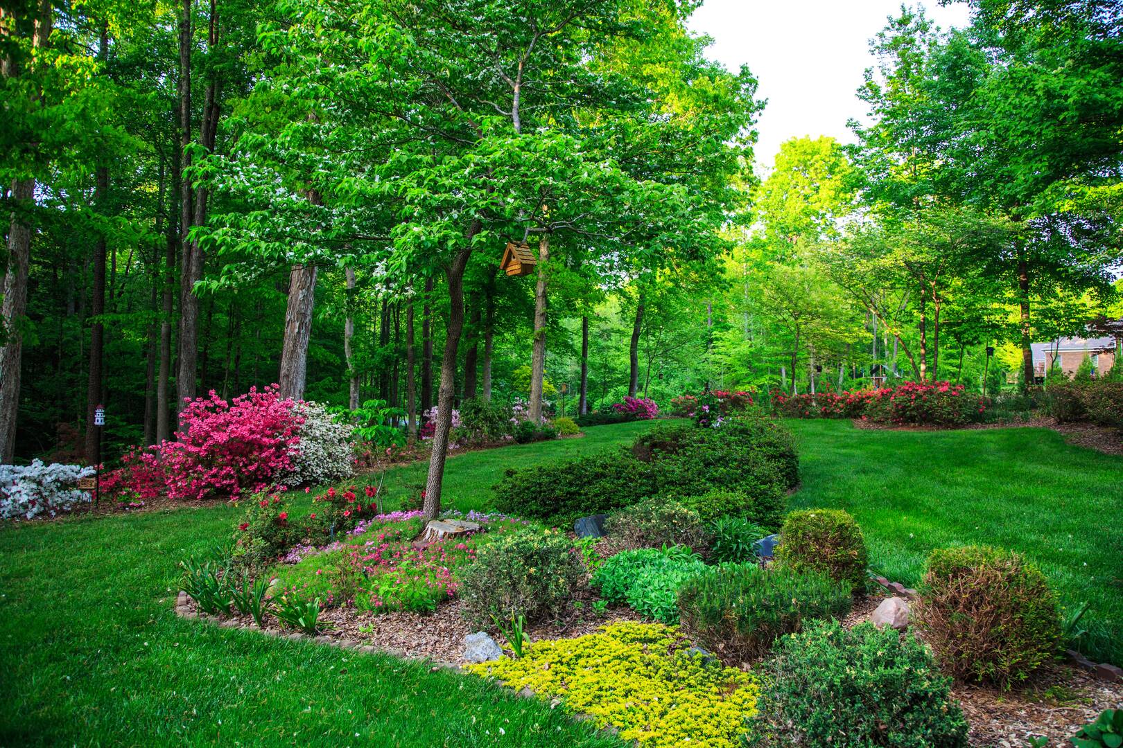 Hire Commercial Lawn Care in Boca Raton FL Area